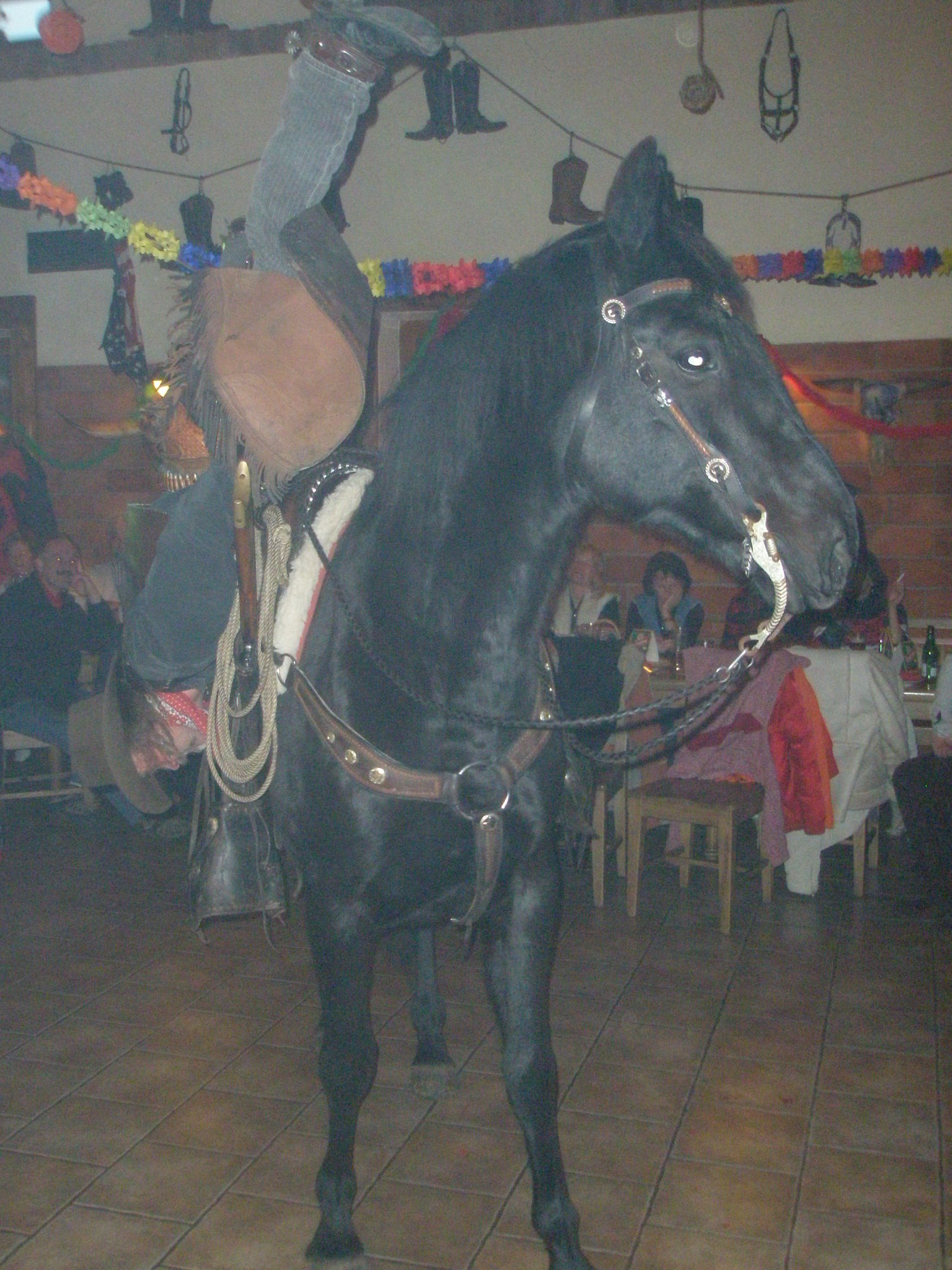 Country saloon Beňovy 1.1.09.jpg