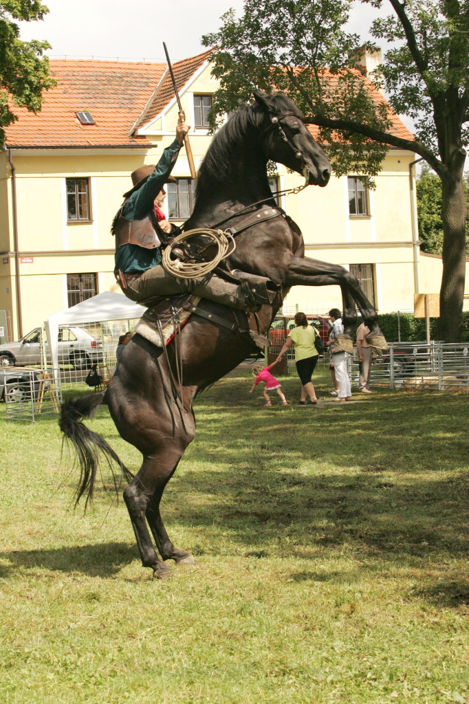 poslední výstřel